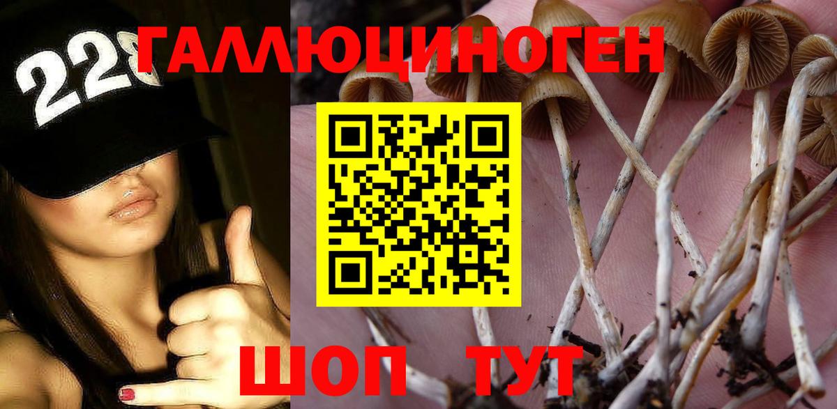 Псилоцибиновые грибы мицелий Лабинск