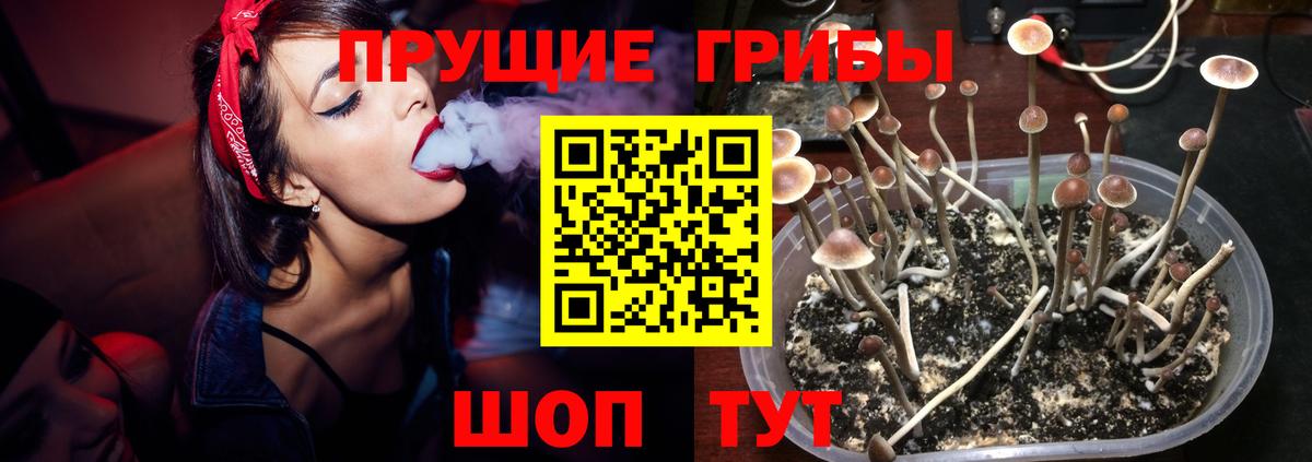 Лабинск  Галлюциногенные грибы прущие грибы  Галлюциногенные грибы Magic Shrooms  Вход с VPN 